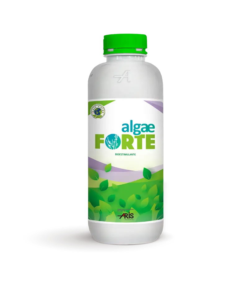 Algaeforte