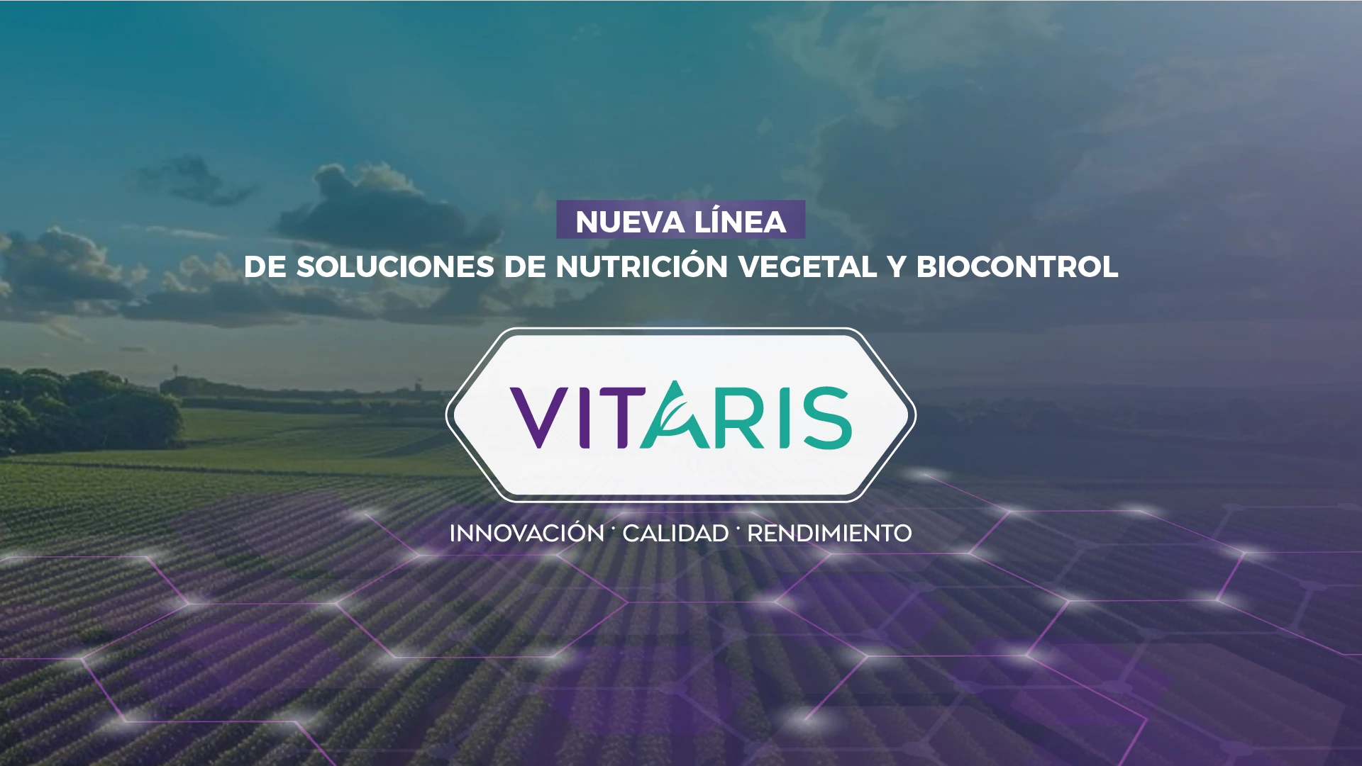 Banner-Vitaris(Desktop)