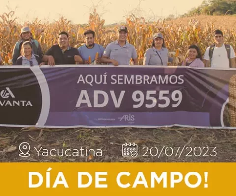 Día De Campo En Yacucatina, Semilla Adv 9559