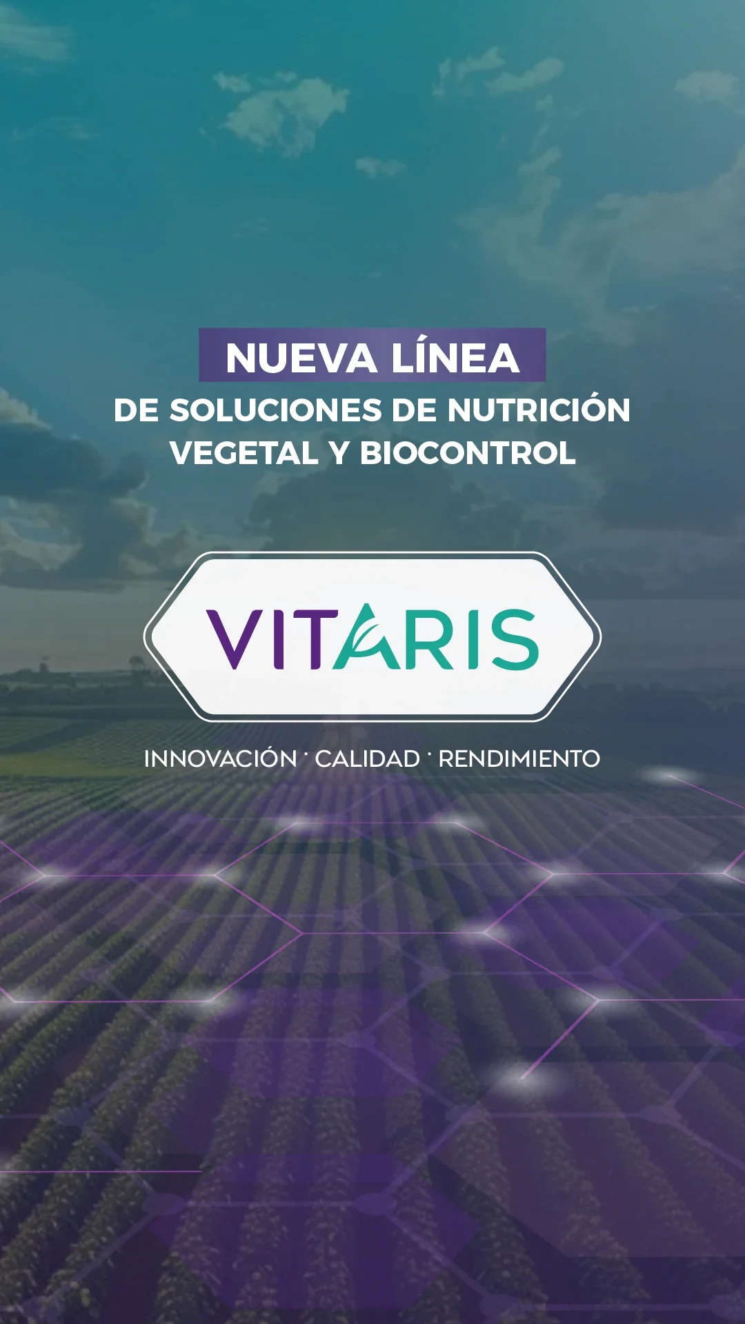 Banner-Vitaris(Mobile)